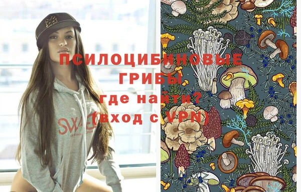 спиды Медвежьегорск